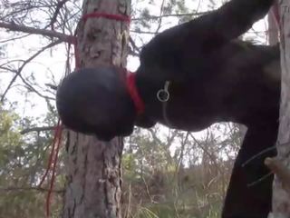 Tied up to a tree outdoor on bewitching clothes&comma; wearing pantyhose and high ankle boots heels&comma; rough fuck